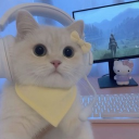 avatar 𝓁𝑜𝓋𝑒𝓁𝓎