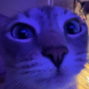 28015