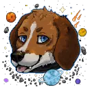 erosdog
