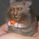 artikmasterson avatar