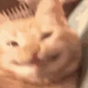 pfp
