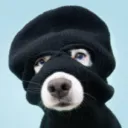 riskyrob