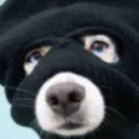 riskyrob