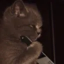 nikito4ka