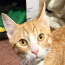 daaawg3663#5815's avatar