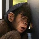 m0lt1z