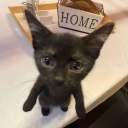 stroze_#3910's avatar