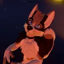 baltohusky
