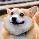 carcwithanm