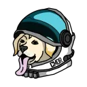 cmdrspacedog