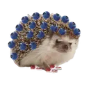 reeplay