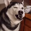 _awawa