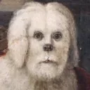 miniluky