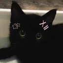 cyberanaa