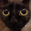 cyberanaa
