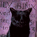 spookiiscarii