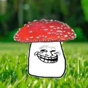 zorrobs