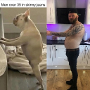 avatar Sylvester Calzone