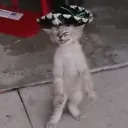 cuhzoop