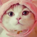 kirit0o9