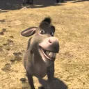 jbartola