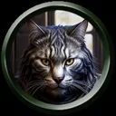 nekoshankla