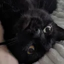 pl0s