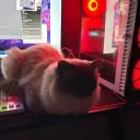 sietto