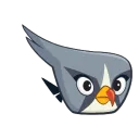 heydoon