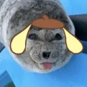 masonbitbyte
