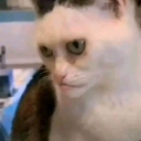 avatar 𝓝𝓸𝓻𝓪