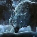 avatar 𝔖𝔥𝔞𝔡𝔬𝔴 𝔚𝔬𝔩𝔣