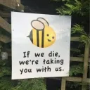 bittybeebo