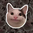 frashiko
