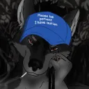 sirwinsalot