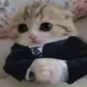 caspeedy