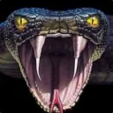 cobra_opressora