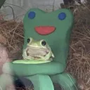 froggiture