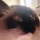 morgangee