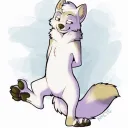 whiteblizzard avatar