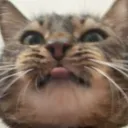 lukatjee