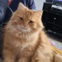 ackim