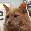 pufflefuzz