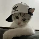 ohfvcksousage