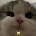 anto4ka