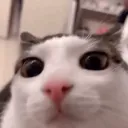 _asp