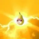 shinprog