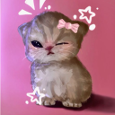 avatar 𝓒𝓊𝓉𝑒 𝒦𝒾𝓉𝓉𝓎