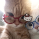 avatar C𝓊𝓉𝑒 𝒦𝒾𝓉𝓉𝓎