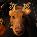 thelucaslulu#0155's avatar